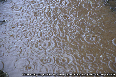 rain drops falling into a puddle