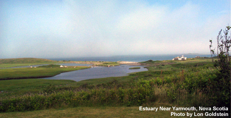 Muara (estuari) dekat Yarmouth, Nova Scotia