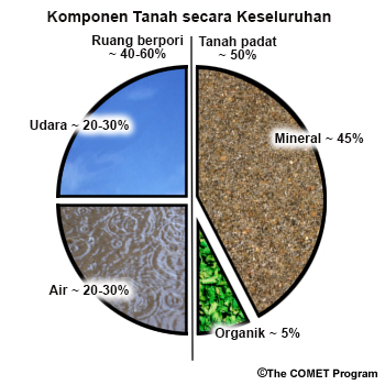 Rata-rata komposisi tanah. Terdiri dari sekitar 20% -30% udara dan sekitar 20% -30% air. Kedua komponen ini membentuk ruang pori. Sekitar 45% tanah adalah mineral, sedangkan lima persen sisanya mengandung bahan organik lainnya. 