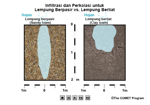 still image of an animation comparing rain falling onto two volumes of soil: one that is sandy loam and one that is clay loam.  Blue raindrops fall uniformly over both boxes and begin to infiltrate the soil surfaces.  The rain infiltrates the sandy loam soil volume more deeply, but within a relatively narrow vertical channel.  The rain infiltrates the clay loam volume in a shallower, more horizontally spread out pattern